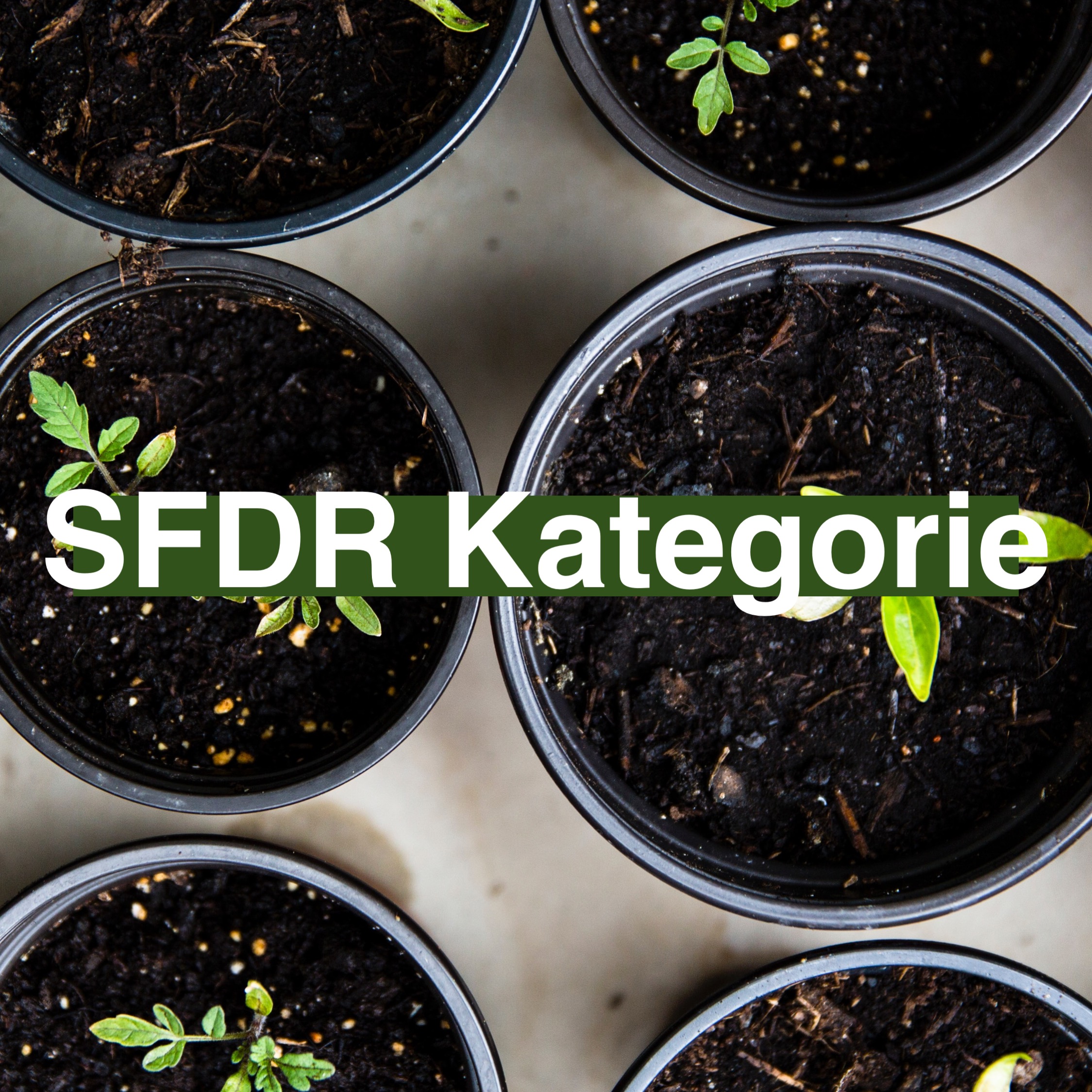 Was bedeuten die SFDR-Nachhaltigkeits-Kategorien bei Fonds?