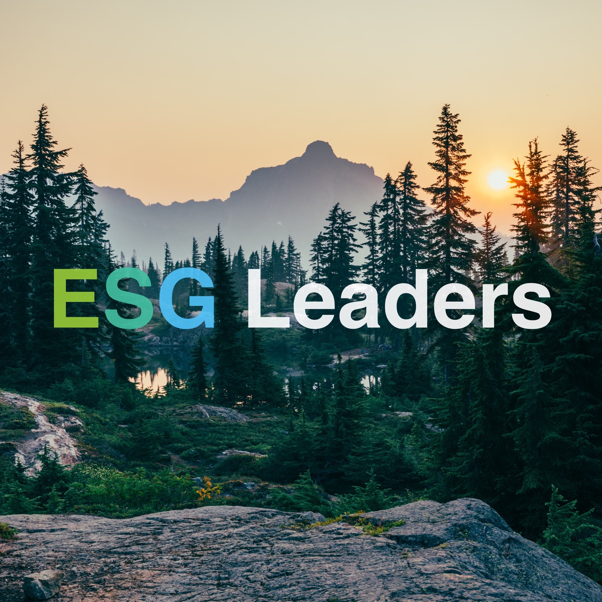 MSCI ESG Leaders