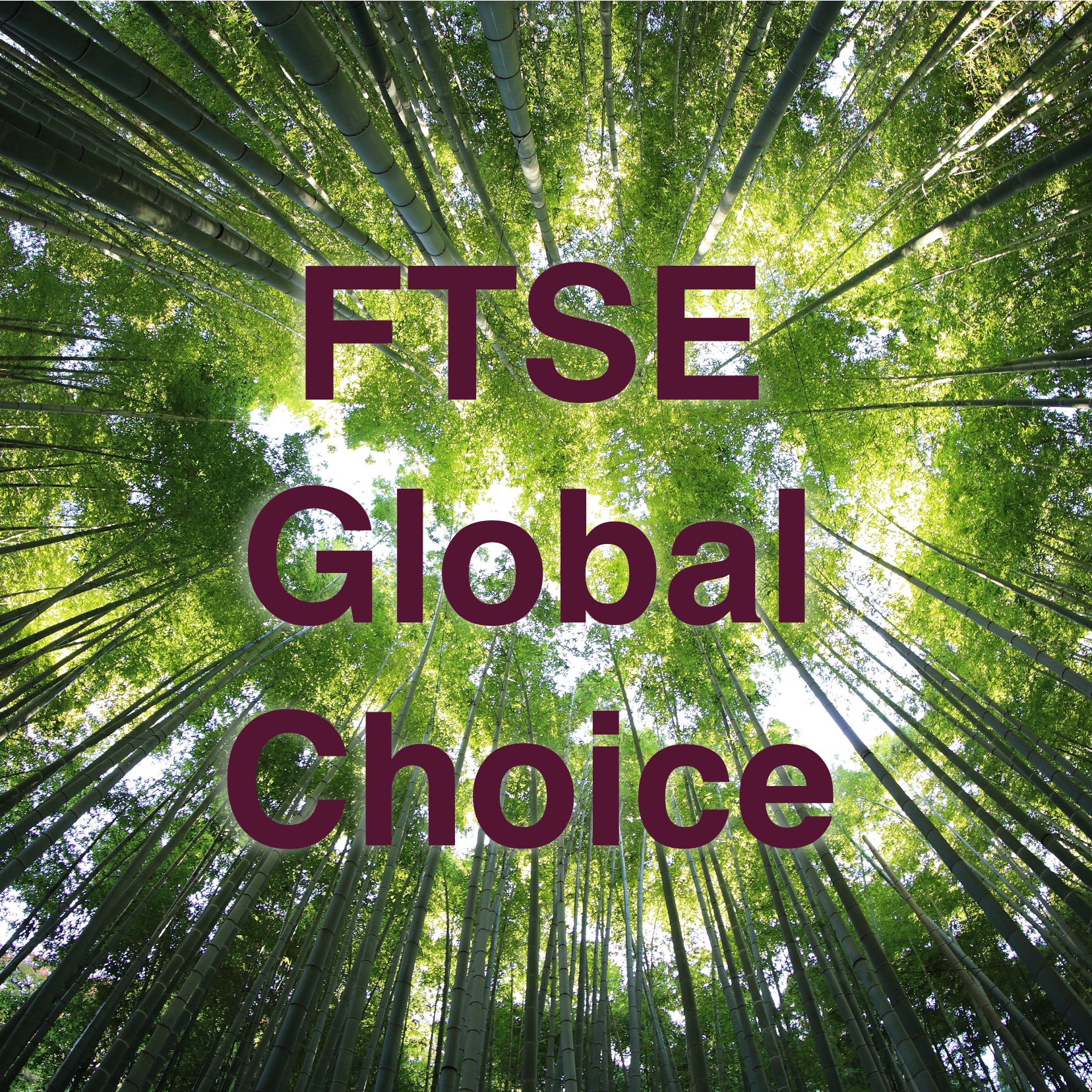 FTSE Global Choice Indizes Wie Nachhaltig Sind Vanguard s ESG Global 