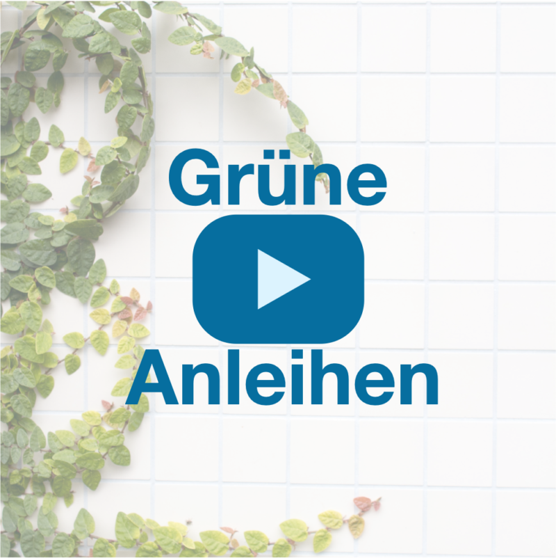 Was sind grüne Anleihen? Gezielt den nachhaltigen Umbau unterstützen?